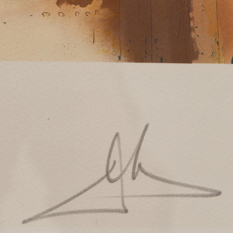 SALVADOR DALÍ , färglitografi, sign o numr E 103/125.