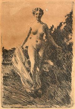 Anders Zorn, an etching.