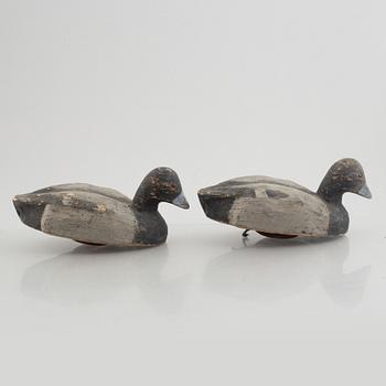 A set of four decoy ducks, first half of the 20th Century.