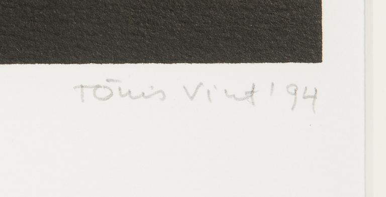 Tõnis Vint, Untitled.