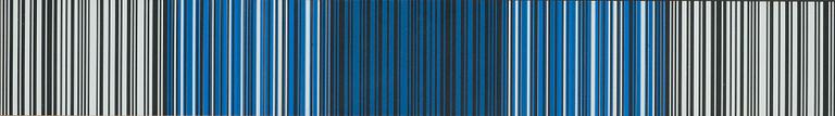 Leonhard Lapin, "Kood XXXIIID".