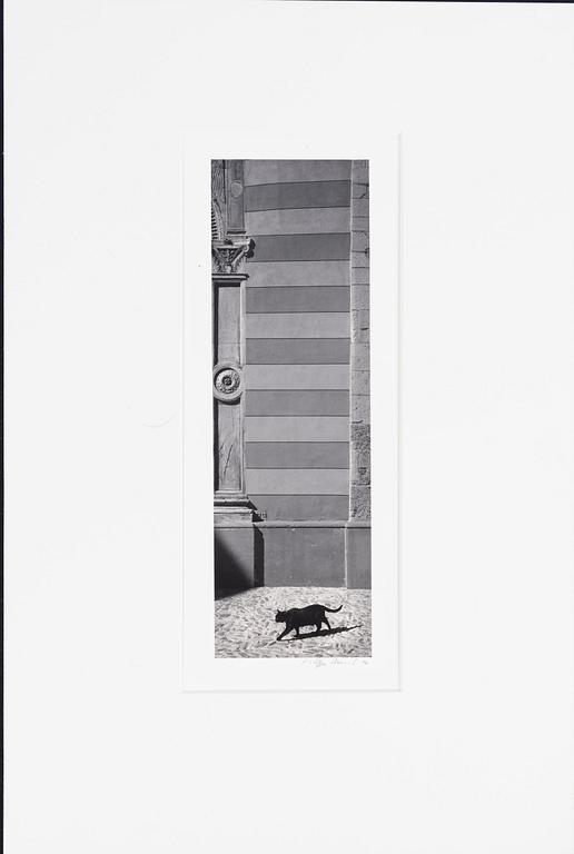 Kristoffer Albrecht, motif from France, 2002.