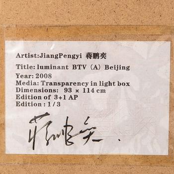 Jiang Pengyi, "Luminant: BTV (A)", 2008.