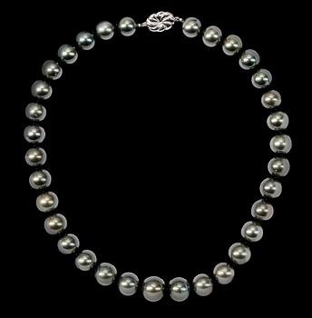 COLLIER, South Sea-pärlor med silverlås.