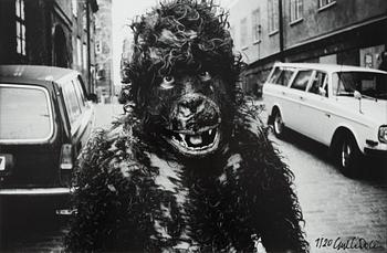 Carl Johan De Geer, Apan Saba, from "Tårtan", 1972.