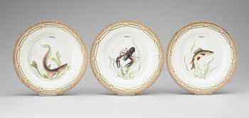 A set of 22 Royal Copenhagen 'Fauna Danica' dinner plates, 20th Century.