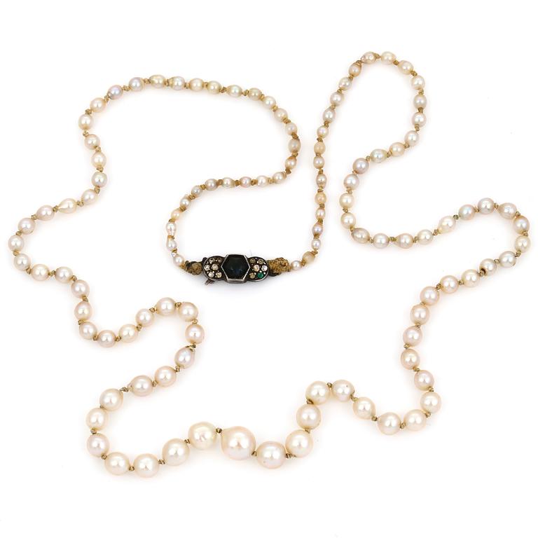 COLLIER, odlade saltvattenpärlor, lås i silver med safir.