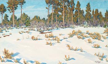 Gunnar Widforss, "Snow, Forest in Grand Canyon".
