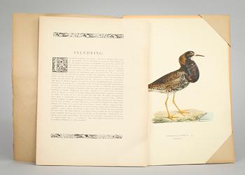 M o W VON WRIGHT, "Svenska fåglar", 34 häften, Stockholm 1920-tal.