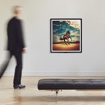 Kalle Gustafsson, "Stallion", 2016.