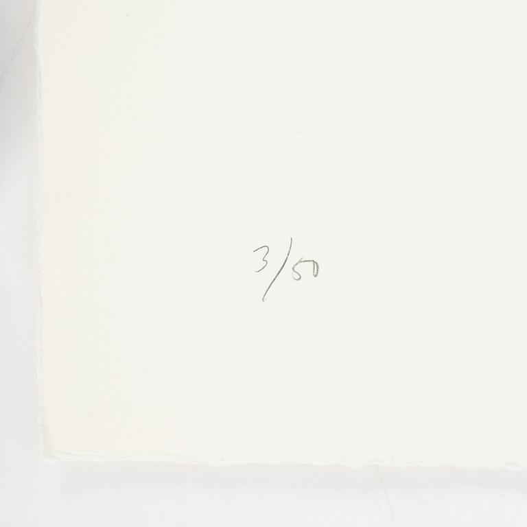 Jan Håfström, färgetsning, 2020, signerad 3/50.
