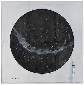 330. Ylva Snöfrid (Ogland), "Xenia, Syringe and North Starry Sky".