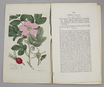 JOHAN WILHELM PALMSTRUCH, "Svensk Botanik, vol I-V. 1803-1805.