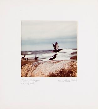 VICTOR HASSELBLAD, fotografier, 12 st, signerade, daterade och numrerade, ur serien nr 22.