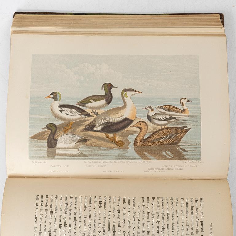 Collection of older books on hunting.