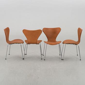 A SET OF 6 ARNE JACOBSEN "SERIES 7" CHAIRS BY FRITZ HANSEN.