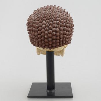 Rinaldo Frattolillo, "Damius Chocolatchipus".
