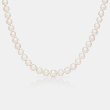 A cultured South Sea pearl necklace.