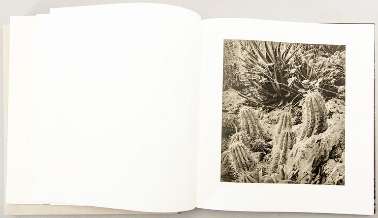 Jim Dine, litografi och bok signerade och numrerade 67/140.