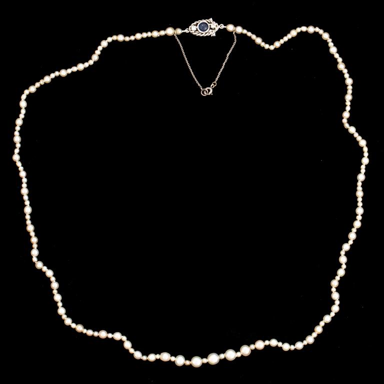 PÄRLCOLLIER. Lås 18K vitguld WA Bolin Stockholm 1964, med cabochonslipad safir och briljanter.