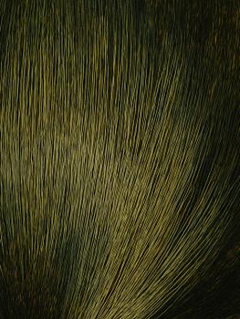 Kim Hyun-Sik, "Hair".