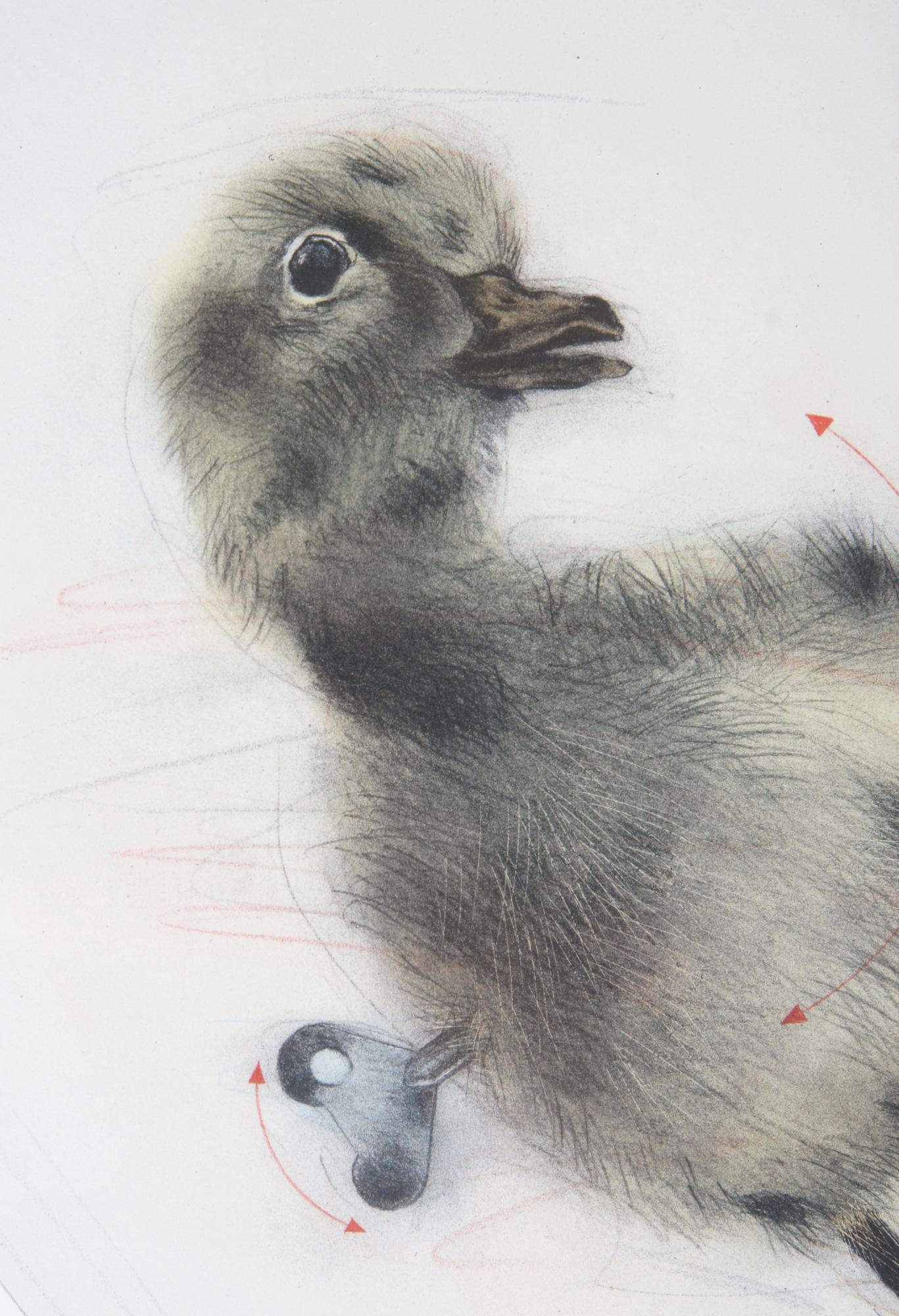 ÅBERG, LASSE, litografi, sign o numr 120/150.