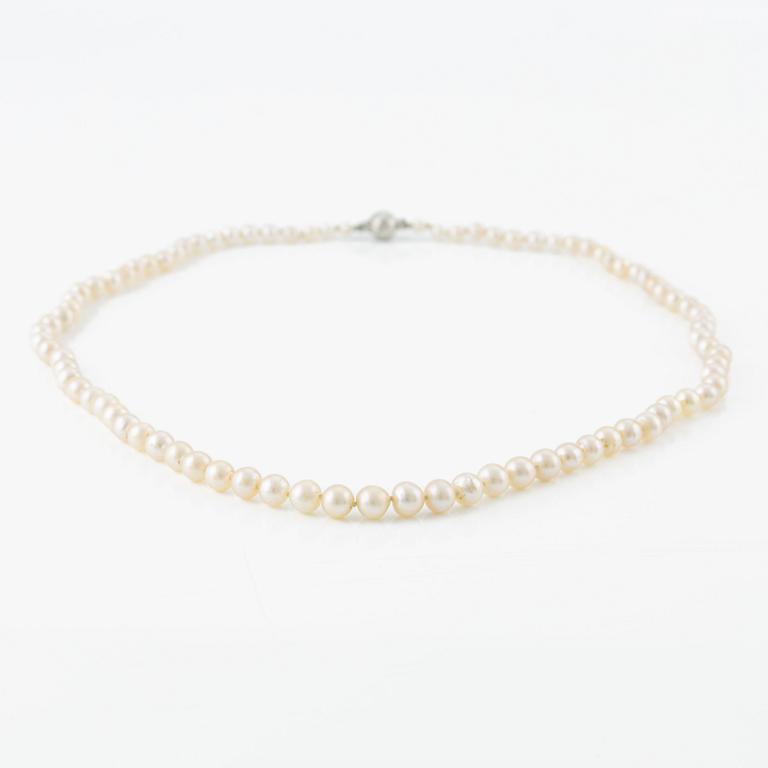 Necklace cultured pearls, clasp 18K white gold.