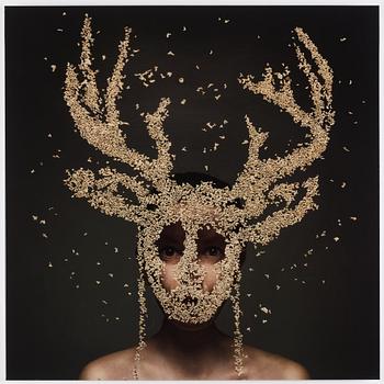 Lotta van Droom · Lotta van Droom, "Wannabe deer"