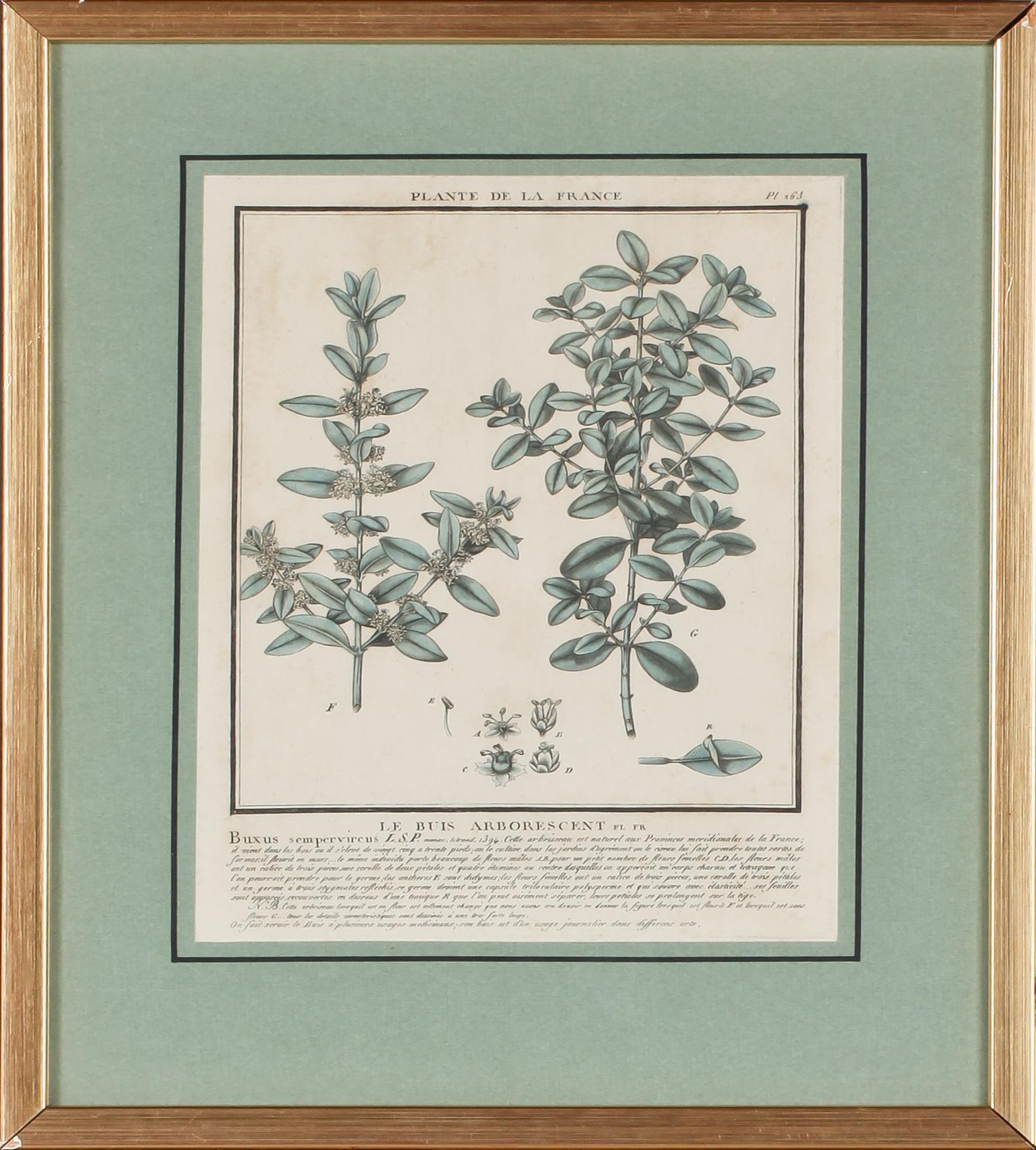 GRAFISKA BLAD, 4 st, kolorerade, 1700/1800-tal.