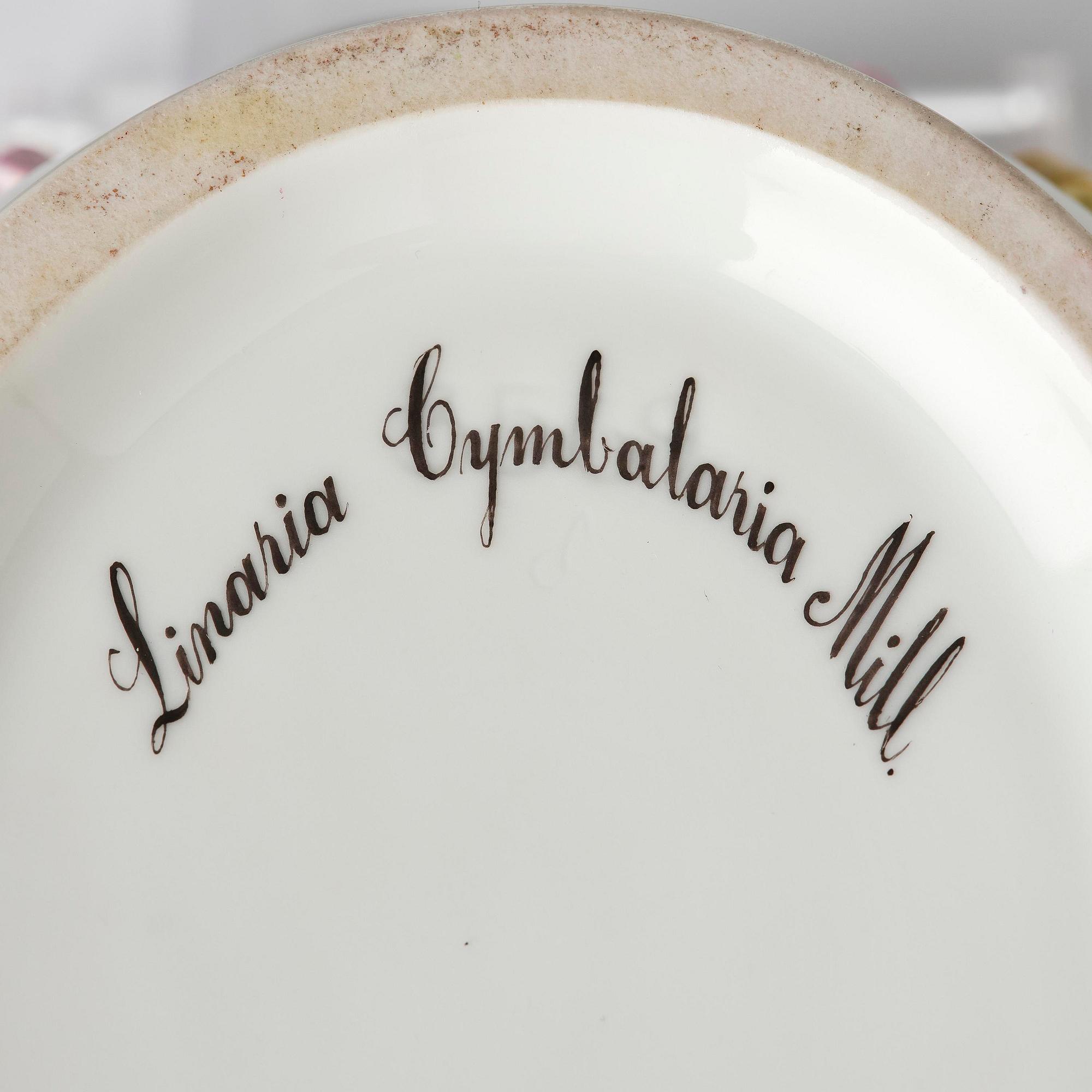 Ytterfoder/Vinkylare, porslin. 'Flora Danica', Royal Copenhagen, Danmark, 1900-tal.