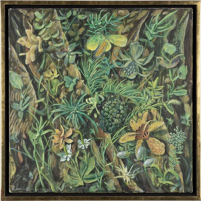 Karl Axel Pehrson, ”Bergsvegetation - Mefoítto”.