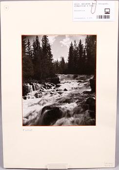 HEILBORN, EMIL, fotografi, stämpelsign à tergo.