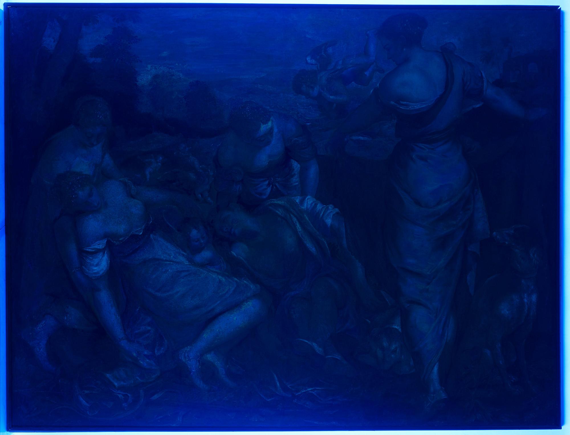 Jacopo Robusti Tintoretto, hans ateljé, Adonis död. (Venere sviene di fronte ad Adone morto).