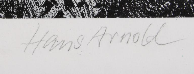 ARNOLD, HANS, blandteknik, sign.