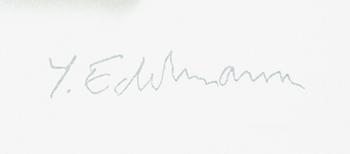 Yrjö Edelmann, "Packed blue and grey heaven".