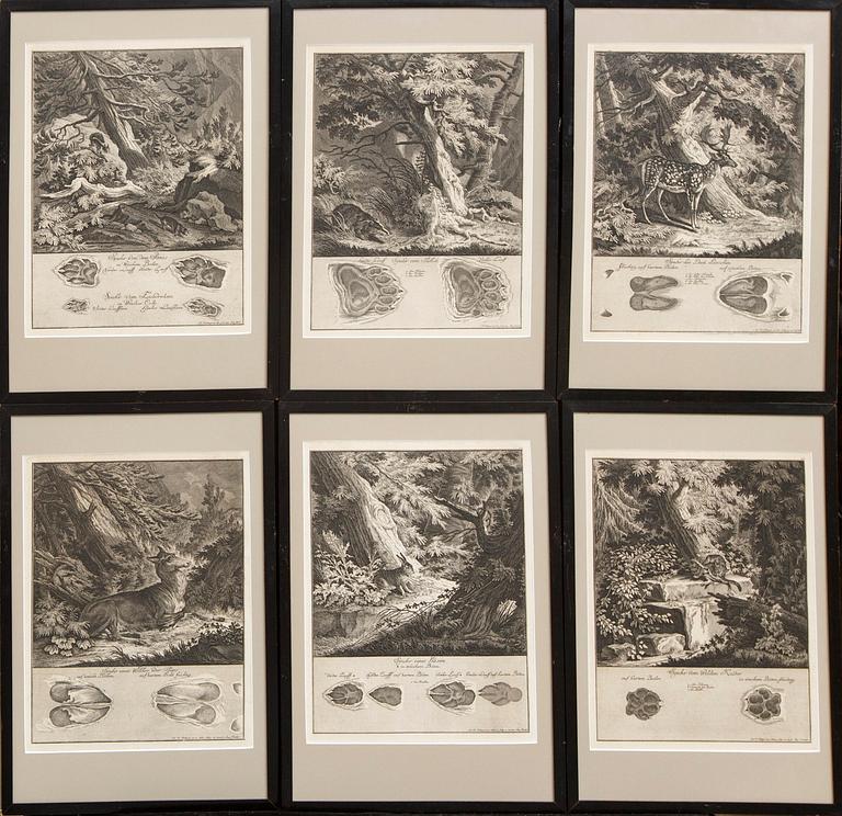 Johann Elias Ridinger, six copper engravings, Germany 18th Century.