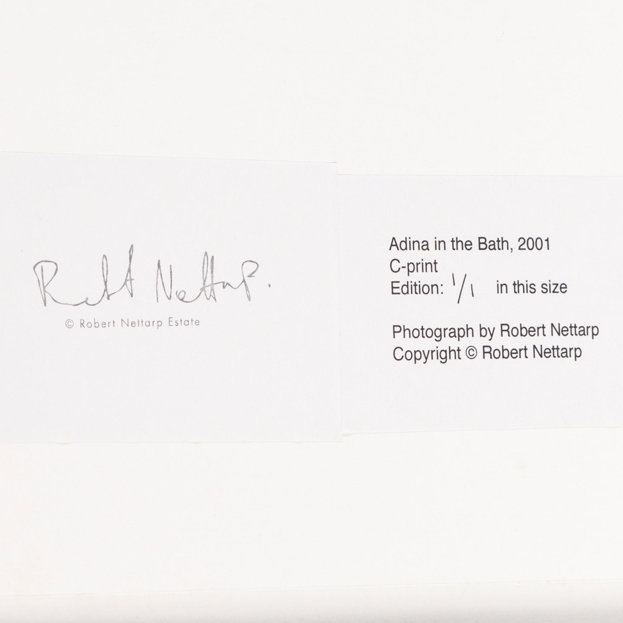 ROBERT NETTARP, C-print stamped signatur and numbered 1/1 on verso.