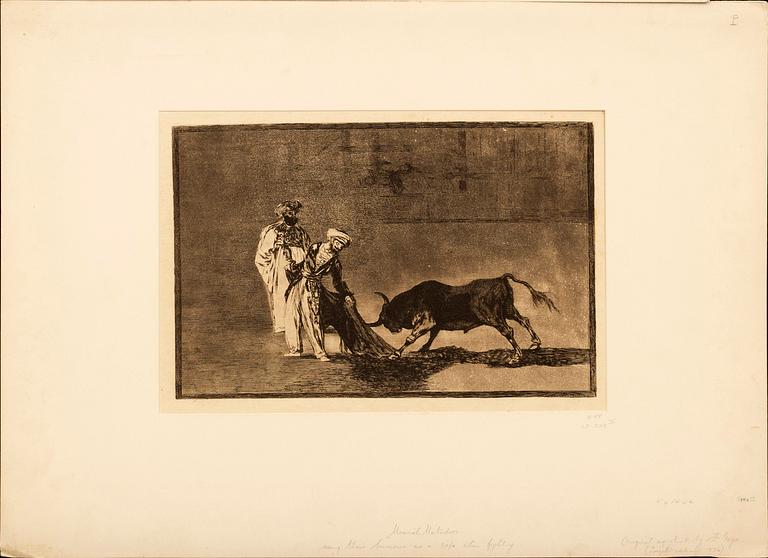 FRANCISCO GOYA Y LUCIENTES,