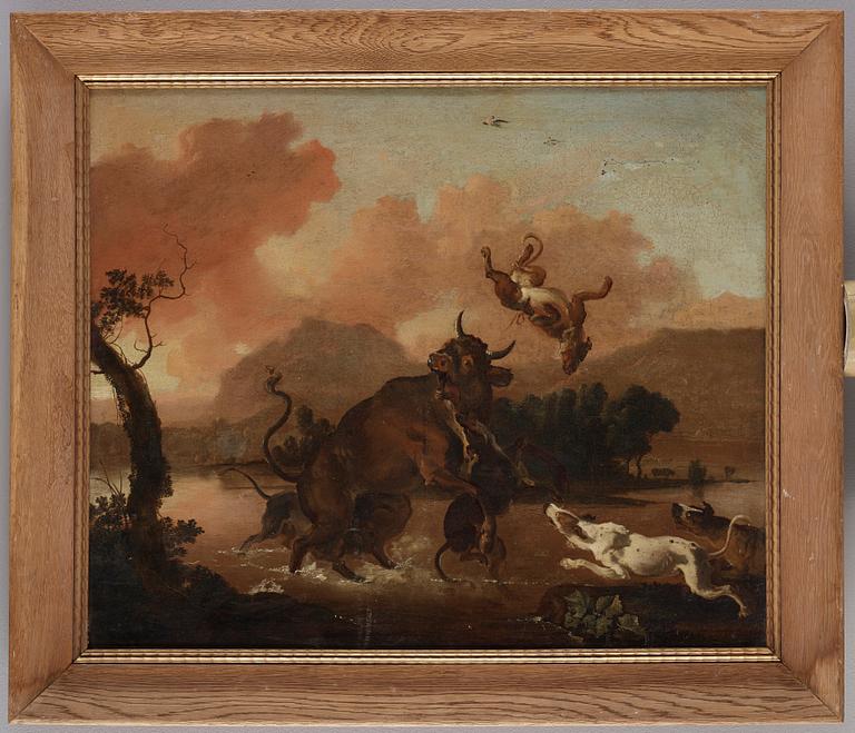 Abraham Danielsz. Hondius, Hundar som anfaller en tjur.