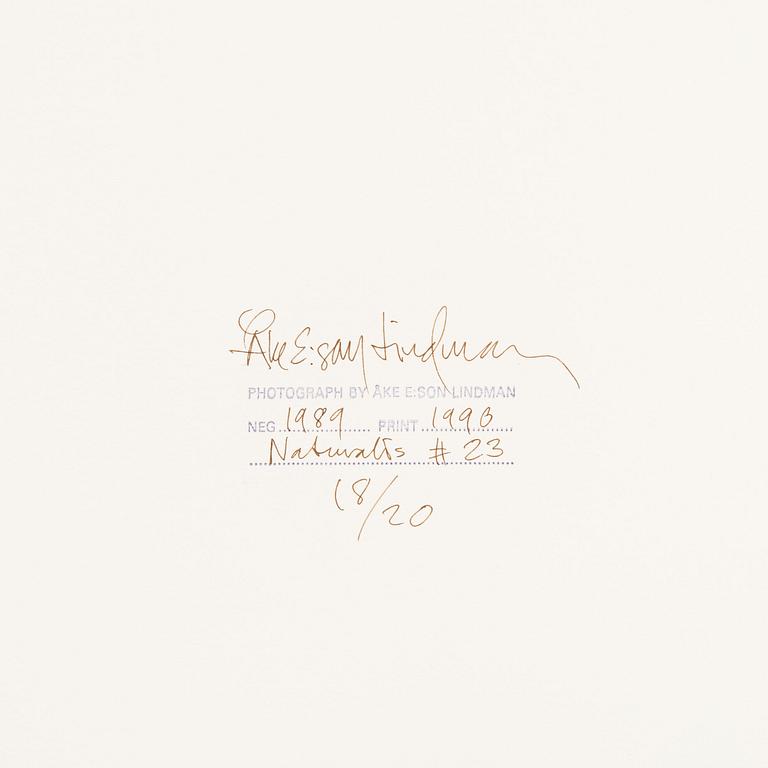 Åke E:son Lindman & Sven Westerlund, portfolio, 2 + 2 photos, signed 18/20.