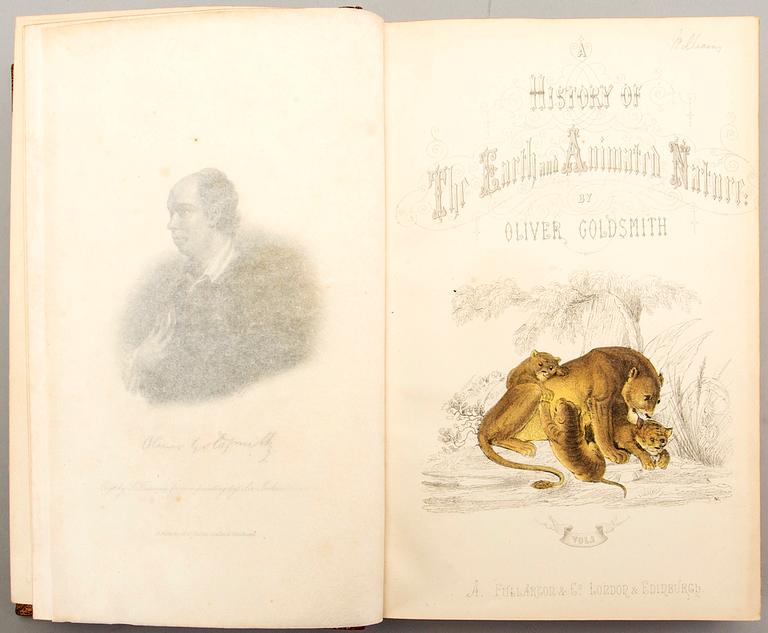 OLIVER GOLDSMITH 'A History of The Earth and Animated Nature' I-II, hand colored plates, c 1870.