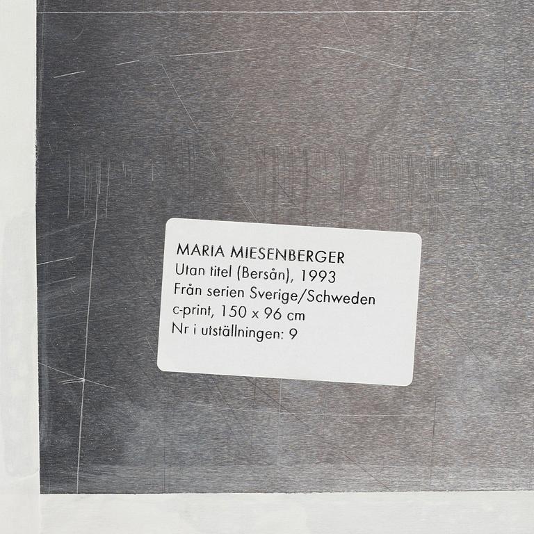 Maria Miesenberger, "Utan titel (bersån)", 1993.