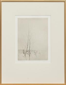 GUNNAR NORRMAN, torrnål.Numrerad 1/30 och signerad.