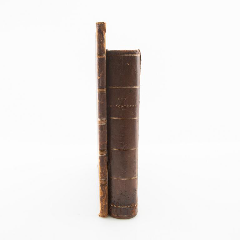 "Les Coléoptères..." & "Table Alphabetique .... Coléoptères", 2 volumes, Paris 1876 & 1875.