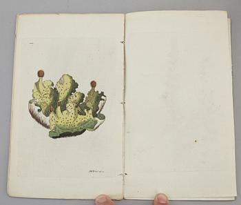 JOHAN WILHELM PALMSTRUCH, "Svensk Botanik, vol I-V. 1803-1805.