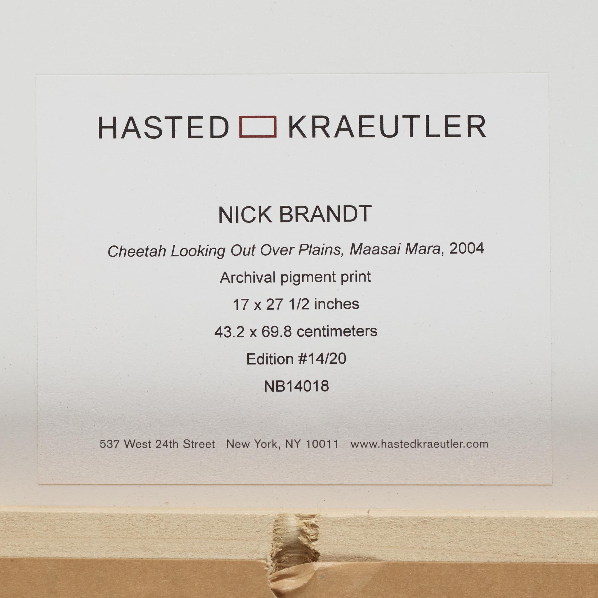 Nick Brandt, "Cheetah Looking Out over Plains, Masai Mara, 2004".