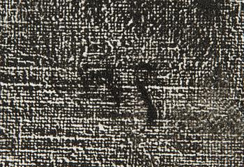 Helene Schjerfbeck, Forty-eight reproductions with text by Gotthard Johansson.