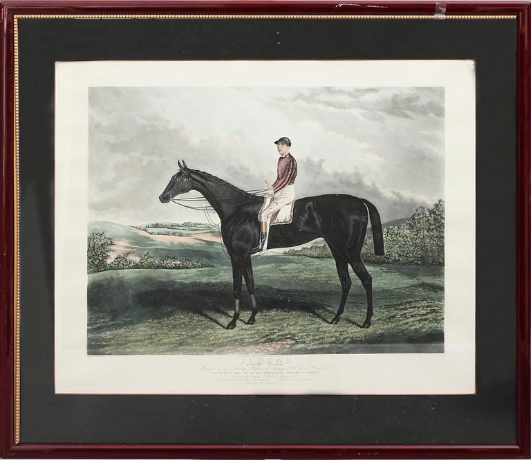 GRAVYR efter EH Hunt, England, 1800-tal.