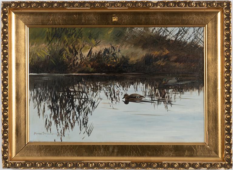 Mosse Stoopendaal, Swimming ducks.