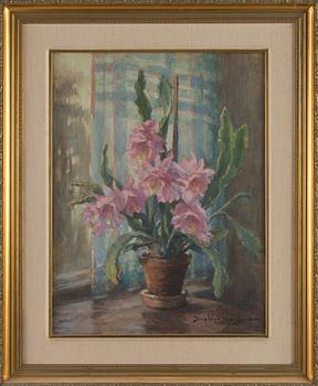 Dora Wahlroos, Blommande kaktus.